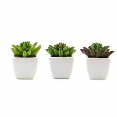 Set of 3 4" tall Assorted Faux Crassula Succulent Plants with Off White Pots