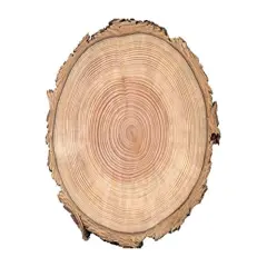 Wood Tree Rings Birthday - Edible Cake/Cupcake Party Topper!!!