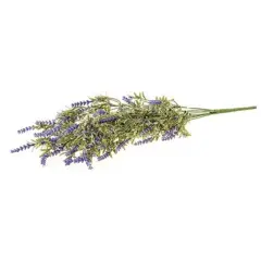 English Lavender Bush, 22"