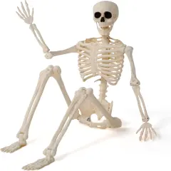 3FT Full Body Movable Joints Plastic Skeletons