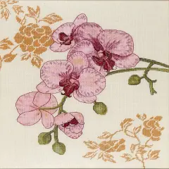 Orchid Counted cross stitch kit 1214A