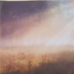 Misty Morning Designer Printed AIDA Fabric. Canvas for embroidery with an applied backgroundKF-1055A