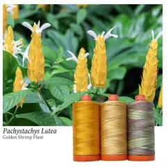 Aurifil Golden Shrimp Plant Color Builder Thread Set by Aurifil | (3 50wt Cotton Large Spools.)