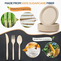 250 Pieces Disposable Paper Plates Set, Compostable Plate Sugarcane Utensils Eco Friendly Dinnerware Kit Includes 50 Biodegradable Plates, Forks, Knives and Spoons for Brithday Party Camping