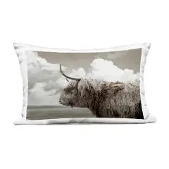 Stupell Industries Longhorn Cattle & Clouds View Outdoor Pillow, 14 x 7 x 20