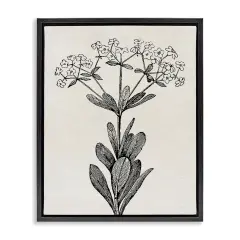 Stupell Industries Classic Cuts Botanicals Floating Frame, design by Karen Smith