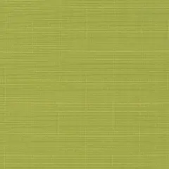 Pear - Green Plain & Solid Upholstery Fabric 54 Inches"