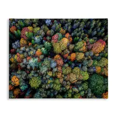Stupell Industries Aerial View Autumnal Foliage Canvas Wall Art Design by Rick Berk