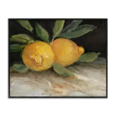 Stupell Industries Traditional Lemons Duo Framed Giclee Wall Art Design by Carol Robinson