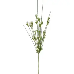 Wild Blossoms Pick Cream