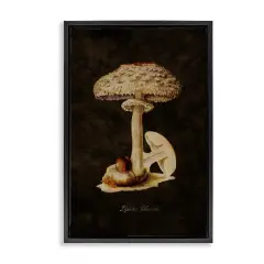 Stupell Industries Vintage Mushroom Study Framed Floater Canvas Wall Art Design by Tina Higgins Designs, Inc.