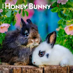 Honey Bunny | 2026 12 x 24 Inch (Hanging) Monthly Square Wall Calendar | Plastic-Free