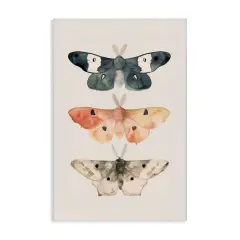 Stupell Industries Watercolor Moth Trio Canvas Wall Art Design by Petal Prints Design