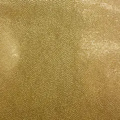1 Yard Foggy Foil Stretch Poly Spandex Fabric For Dancewear Swimwear 60&rdquo; Width Gold gold