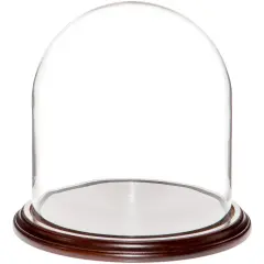 Plymor 9.75" x 10" Glass Display Dome Cloche Dark Mahogany Veneer