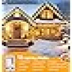 Christmas Firecrackers String Lights