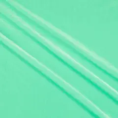 1 Yard Soft Stretch Velvet Fabric for Dresses Costumes Upholstery and DIY Projects 58 60 Inch Width Mint