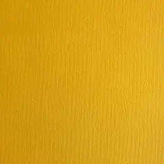 GOLDEN AMBER - Textured 12x12 Cardstock - Encore Paper