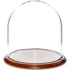 Plymor 11.75" x 12" Glass Display Dome Cloche Walnut Veneer
