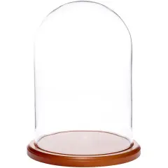Plymor 8" x 12" Glass Display Dome Cloche Walnut MDF