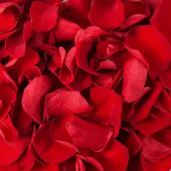 180 PCS Dried Real Red Rose Flower Petals Confetti for Wedding, 1.75oz Preserved Freeze Flower Girl Petals
