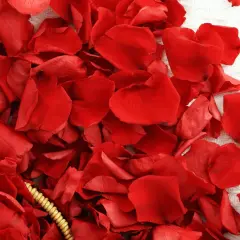 200Pcs Dried Real Red Rose Petals, Preserved Flower Petals 1.75oz for Gifts Wedding Party Decor, Flower Girl, Dinner Table Centerpieces, Bridal Shower