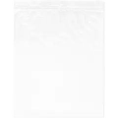 Plymor 10" x 12", 2 Mil with Hang-Hole Zipper Reclosable Plastic Bags
