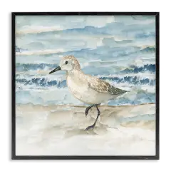 Stupell Industries Balancing Sandpiper on Shore Framed Giclee Design By Nan