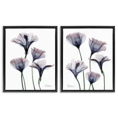 Stupell Industries Bountiful Dusk Lilies 2pc Floating Frame Set Design by Albert Koetsier
