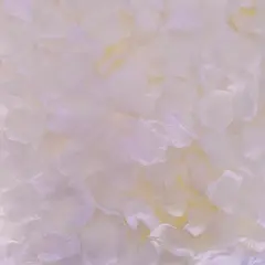 1000 PCS Separated Artificial Champagne Rose Petals for Romantic Night for her Set,Faux Champagne Flower Petals for Flower Girl Weddings