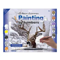 PJL35 | Painting by numbers&trade; 13pc 11.25" x 15.375" Dancing Snow Painting Project