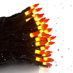 Halloween Orange Lights String Outdoor 100