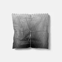 Fine Line Black and White Gift Wrap