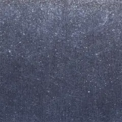 Creative Vinyl Polychrome Texturized Brush 10 Slv Crs Bshd