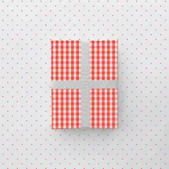 Vintage Red Gingham Gift Wrap