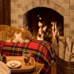 Cozy Cabin - Premium Fragrance Oil