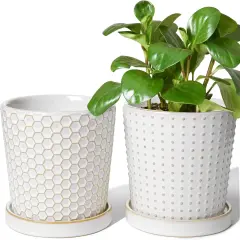 Set of 2 5.4 Inch Ceramic Planters with Drainage Hole and Saucer (C&D Embossed Pattern)