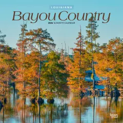 Bayou Country | Louisiana Places | 2026 12 x 24 Inch (Hanging) Monthly Square Wall Calendar | Plastic-Free
