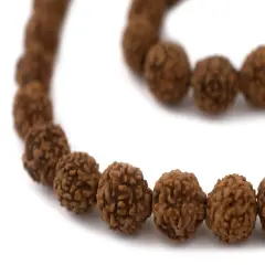 The Bead Chest 12mm Rudraksha Mala Beads - 108 Authentic Nepali Prayer Rosary Beads