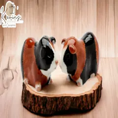 Hand Painted Ceramic Guinea Pig Salt & Pepper Shakers, Home D&eacute;cor, Gift for Her, Gift for Mom, Kitchen D&eacute;cor