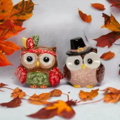 Ceramic Pilgrim And Indian Owl Salt And Pepper Shakers, Gift for Her, Gift for Mom, Kitchen D&eacute;cor, Fall D&eacute;cor, Thanksgiving D&eacute;cor