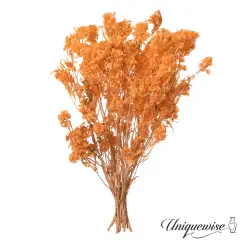 Uniquewise Preserved Real Floral Stems Chic Vase Fillers & Accents for Bouquets Centerpieces & Ornamental Displays Ideal for Home Office Boutique Cafe Resto Bar and Event Decor Lt champagne pansy