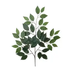 Ficus Spray 24" - 48 PACK