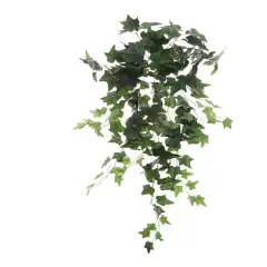 2 PC Hanging English Ivy Bush - 36"
