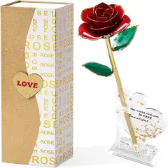Gold Dipped Real 24K Forever Preserved Rose