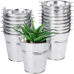 Elegant Galvanized Buckets with Handles
