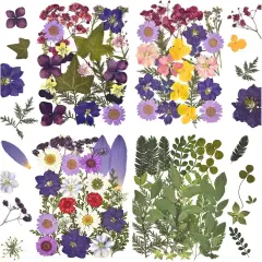 100Pcs Purple Dried Pressed Flowers for Resin Molds