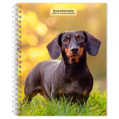 Dachshunds | 2026 6x7.75 Inch Spiral-Bound Wire-O Weekly Engagement Planner Calendar | New Full-Color Image Every Week
