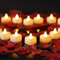 2000 Pcs Red Rose Petals with 24 Pcs LED Heart Candles Lights (Red Black)