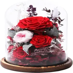 Prime Preserved Flowers Rose in Glass Dome